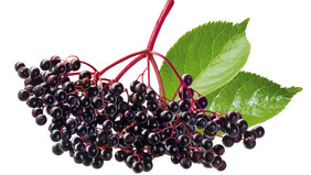 Holunderbeeren