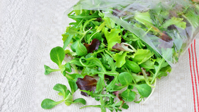 Salat in Tüte