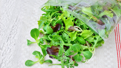 Salat in Tüte