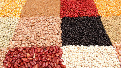 verschiedene Hülsenfrüchte